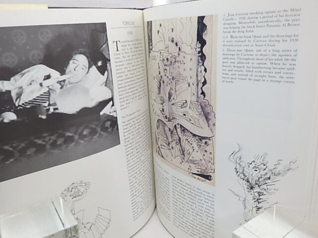 Jean Cocteau and his world / Arthur King Peters ジャン・コクトー