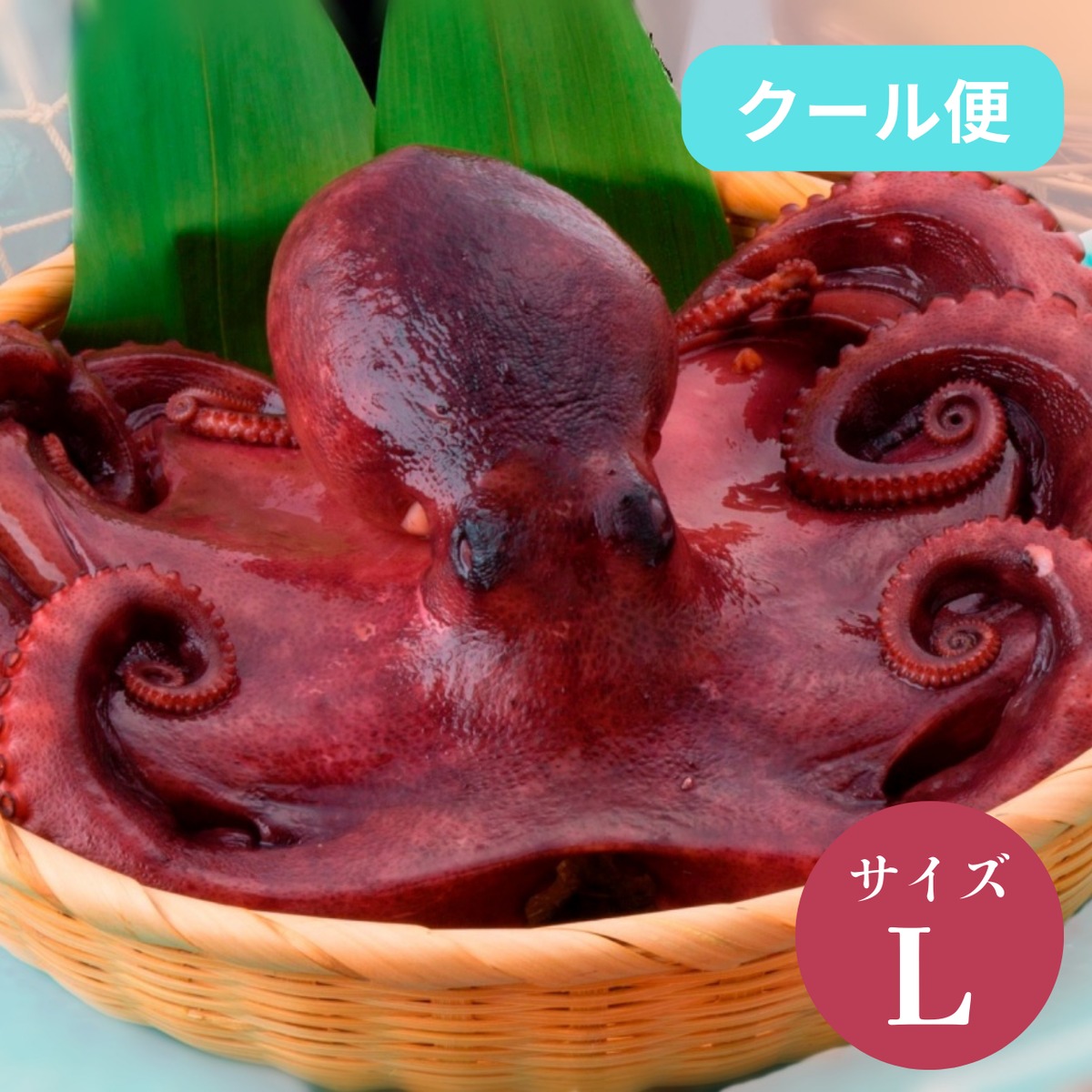 ee62c006435d6ffc5e4b89677d98d9