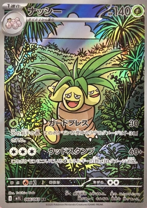 【美品】ナッシー(AR)