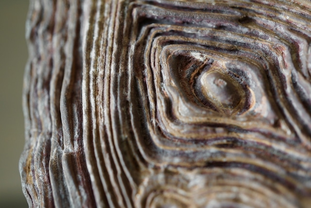 クムル産火山砕屑岩 Volcano-sedimentary Rock 1125