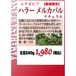 【数量限定】エチオピア ハラーG3 ナチュラル メルカバロ　生豆240gを焙煎