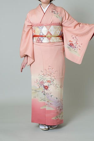 【レンタル】訪問着 ＨＡ-13（フリーサイズ）