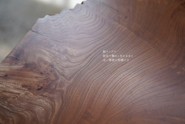 欅の輪切り コーヒーテーブル（高さ・カラー変更無料）