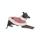 BONDIR Rosella Cape　XS/S