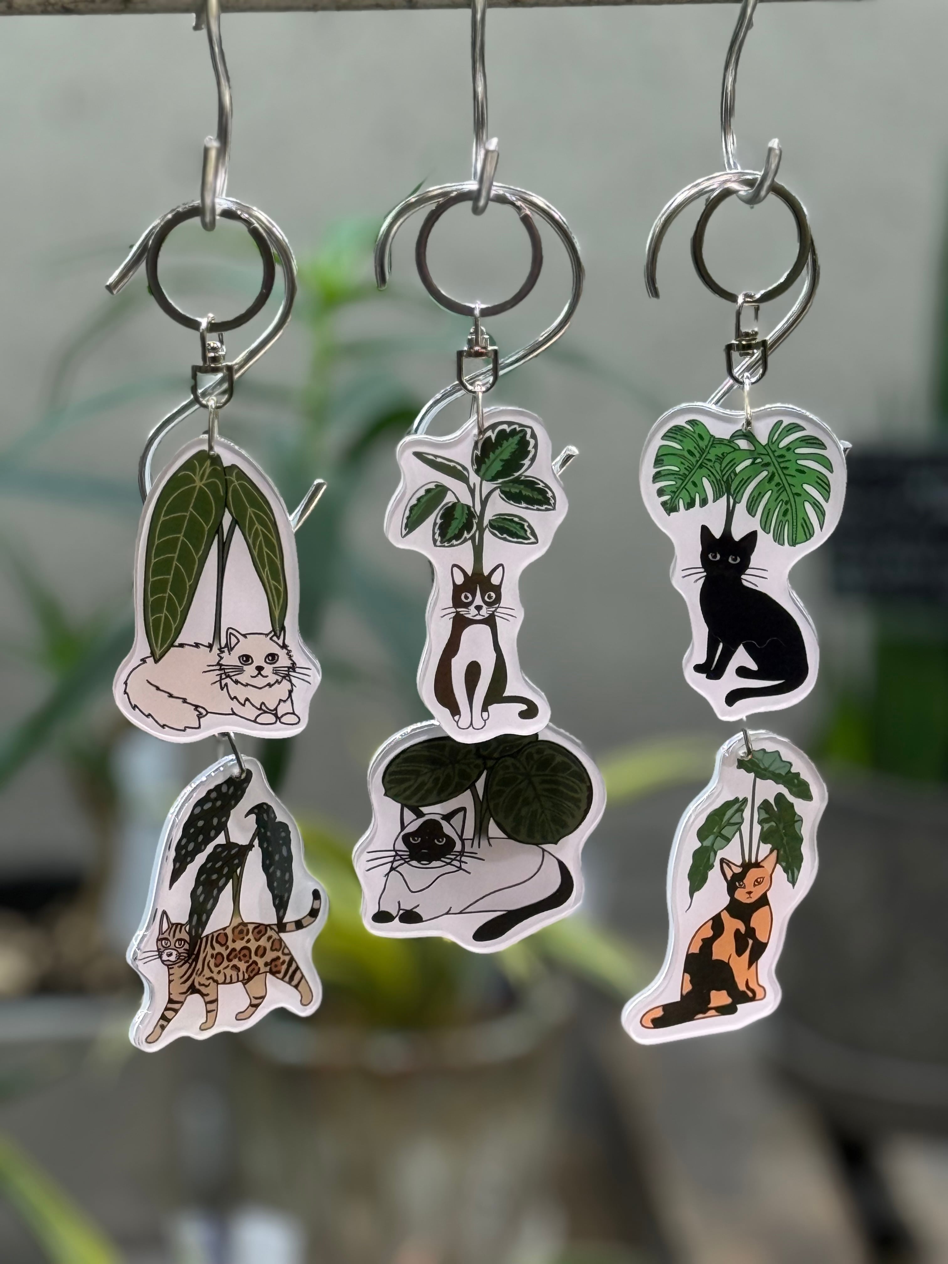 ALL ITEM | MIDORIYA 観葉植物専門店