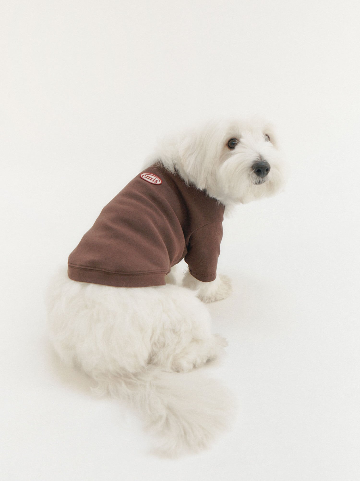 【emis】MINI WAPPEN TEE/ペット服 犬服猫服(L〜XXL) emis】MINI WAPPEN TEE/ペット服 犬服猫服(L〜XXL) | Pay ID