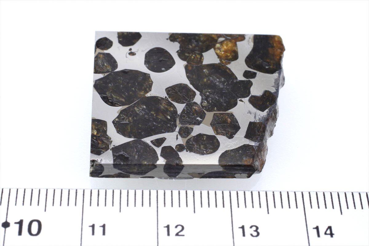セリコ 10g スライス カット 標本 石鉄 隕石 パラサイト Sericho 7