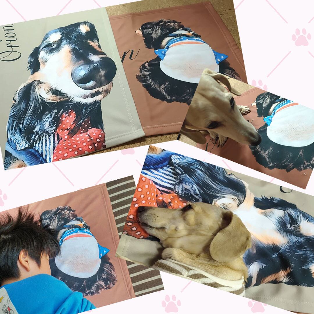 ハンドメイド　オーダー受付ページ　　♡きのこハウス&ブランコ　わんこ　パネル♡ カードシアター きのこ ペープサート 秋の歌 | かまぼこ保育教材