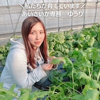 野菜詰合せ　産みたて赤卵10個付き　（数量限定）