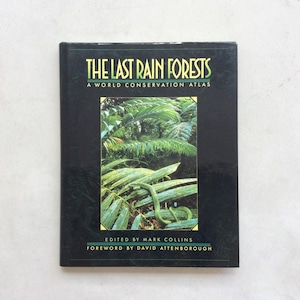 The Last Rain Forests