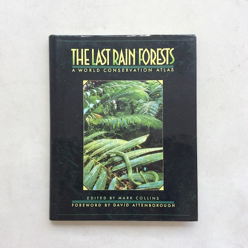 The Last Rain Forests