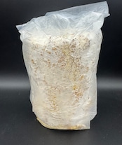 【5本セット】レイシ産卵棒 1本入り