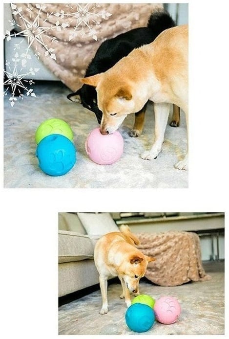 Buddy bowl 32oz バディボール 小型犬・中型犬向け Petique ペティーク パウミー トリートボール 知育玩具 知育トイ