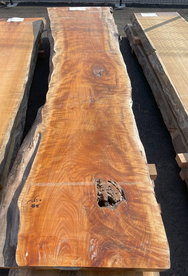 サクラ_2900×630×65_Web限定_オーダー用原板 C1870