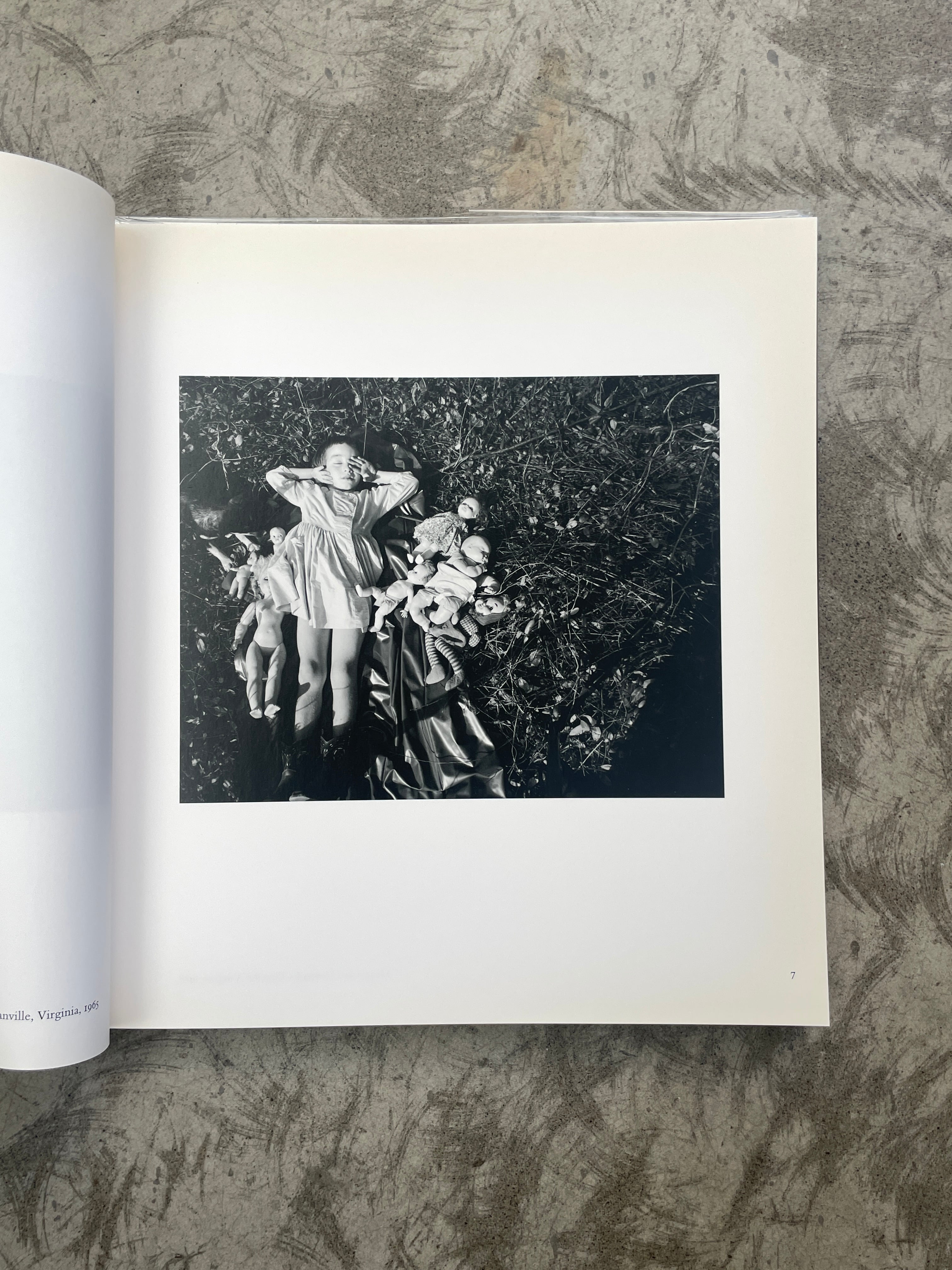 エメット・ゴーウィン Emmet Gowin Photographs 写真集 Emmet Gowin: Photographs エメット・ゴーウィン 写真集 - 古本買取 2