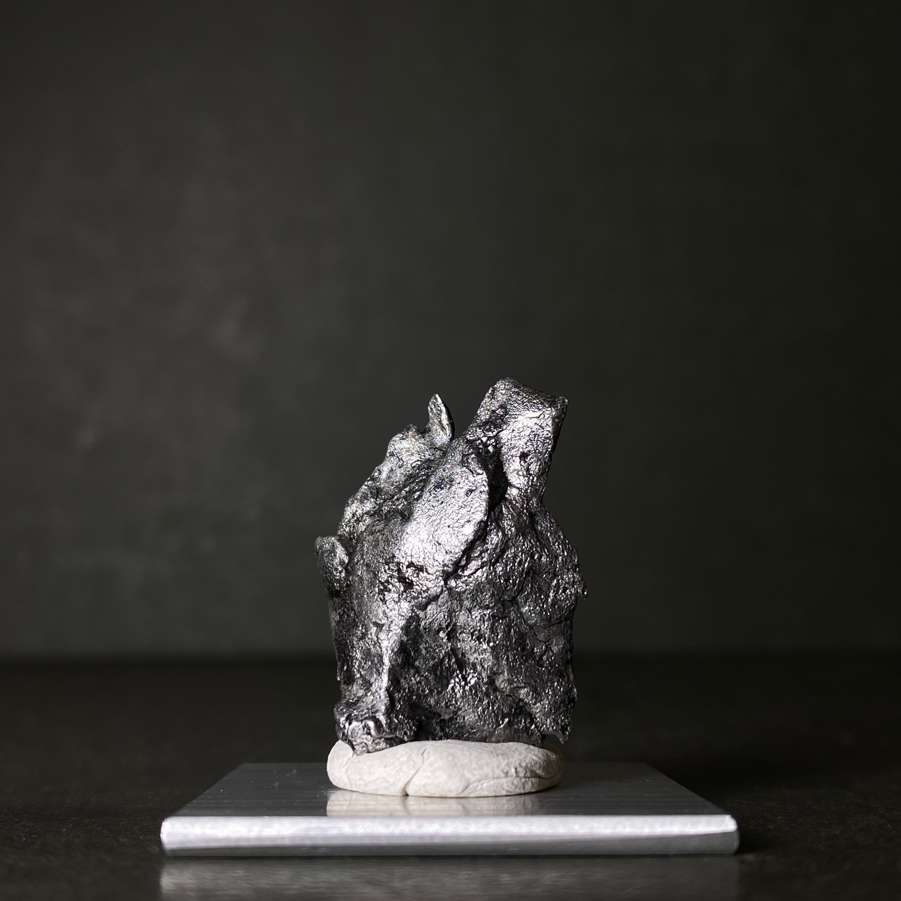 ギベオン隕石 Gibeon Meteorite 25111211 | 【隕石屋】METEOS（メテオス）