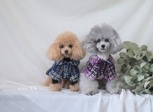 ツィードチェック・マントコート