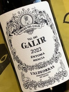 フェリーノ マルベック 2023 ヴィーニャ・コボス 赤ワイン | YAMAJIN