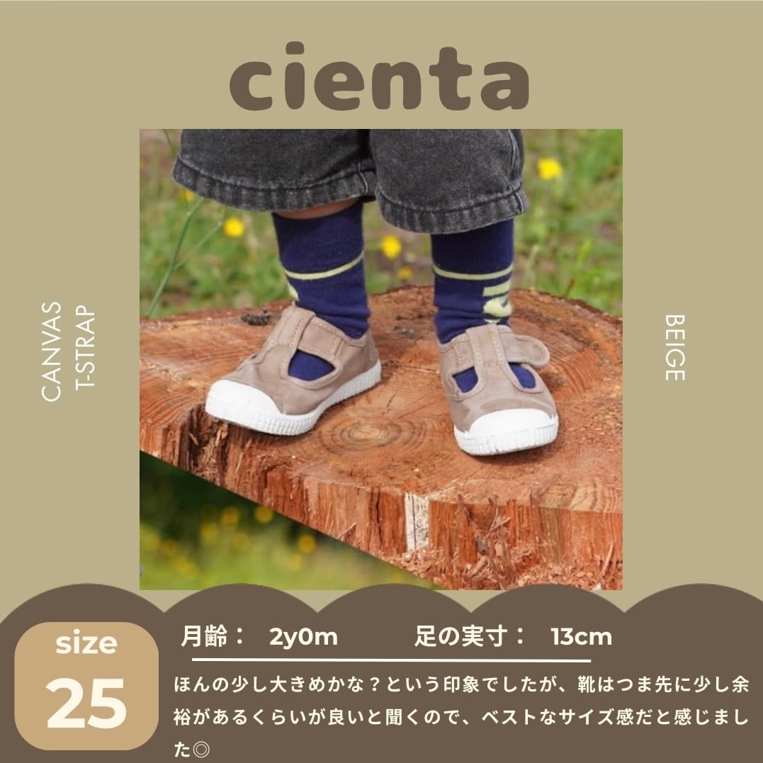 【即納】cienta / canvas Tstrap / arena / No.21