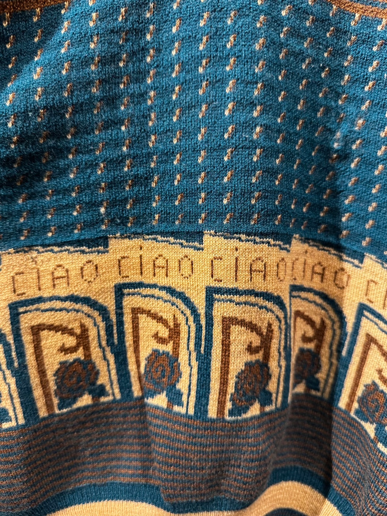 CAMPUS SHOP イタリアンVネックニット