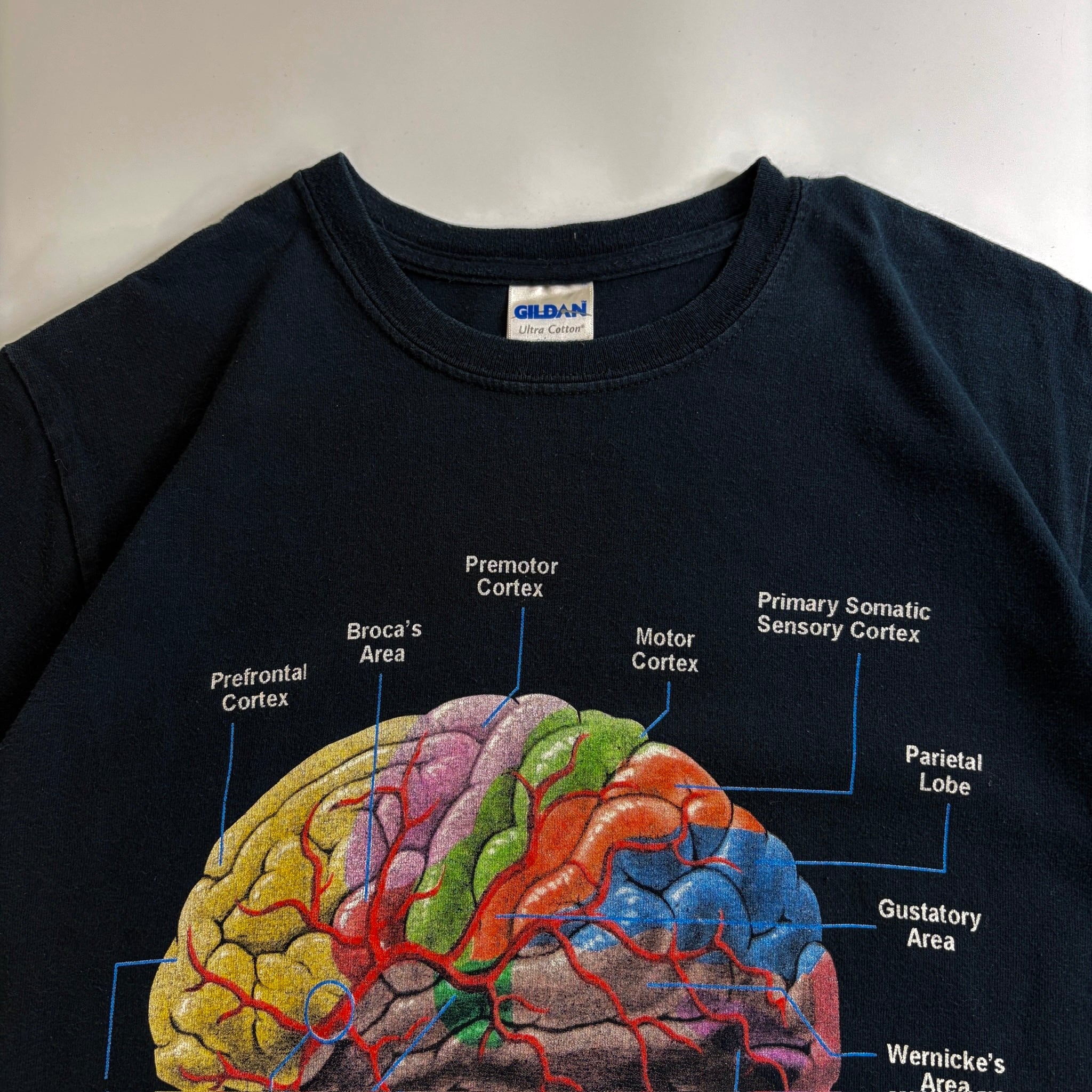 00s Brain Anatomy Graphic T-Shirt