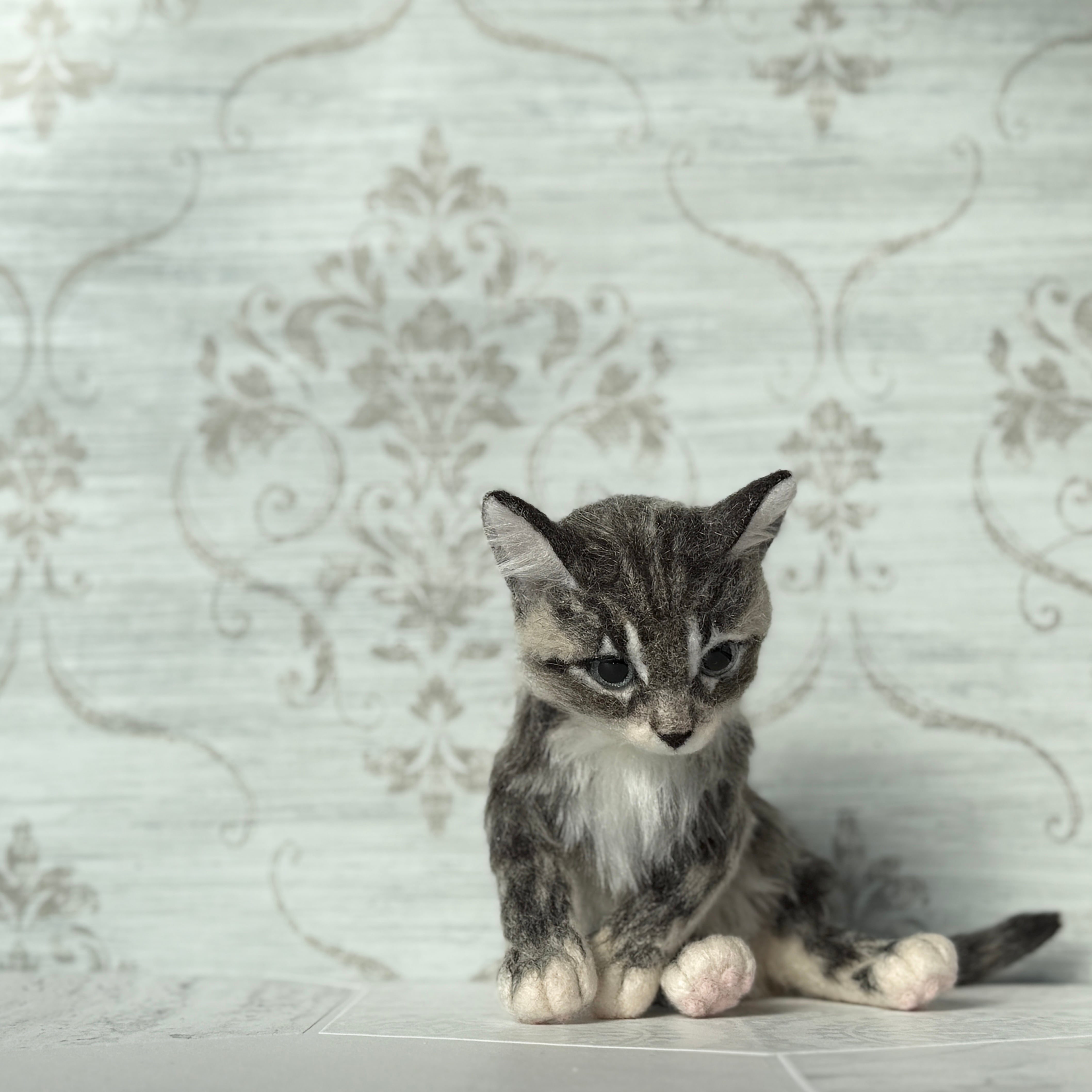 サバトラの仔ネコ 26F2SF 《にゃぴーし2026 猫の日キャンペーン商品