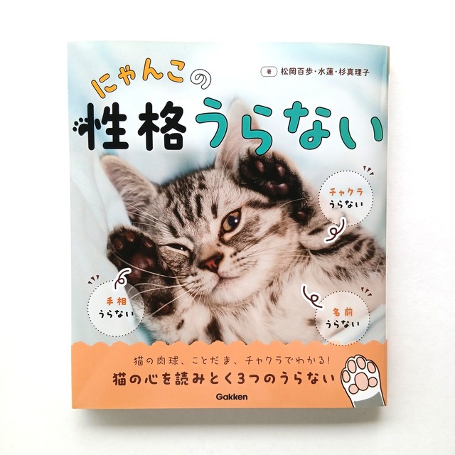 にゃんこの性格うらない