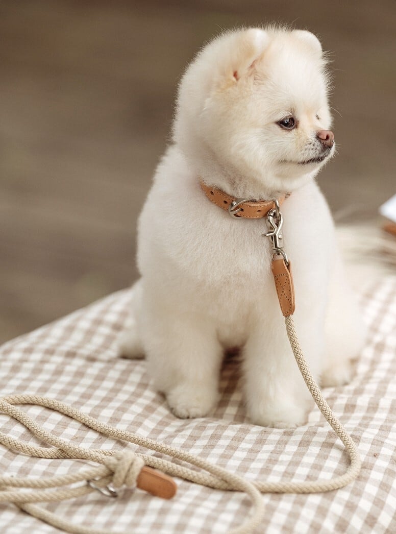 即納【stroll】Rope Leash Slim (Beige)