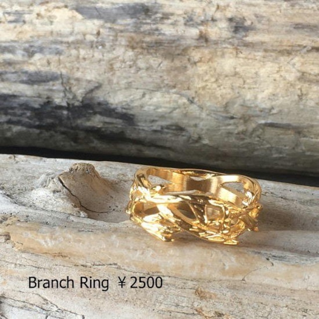 TOPANGA Jewelry　Branchリング　17号