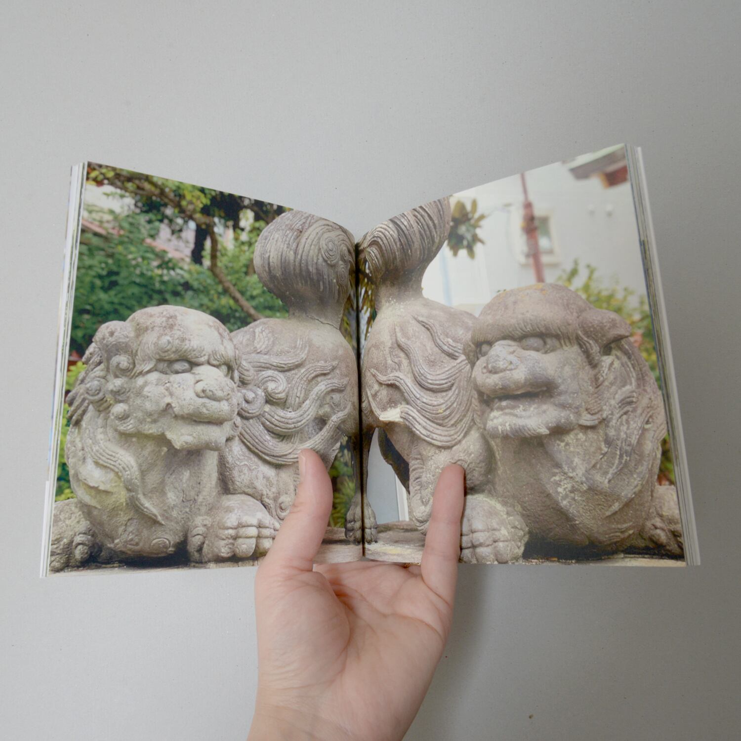 狛犬-KOMAINU- / No.49 龍郷みさき | ホトリの本場