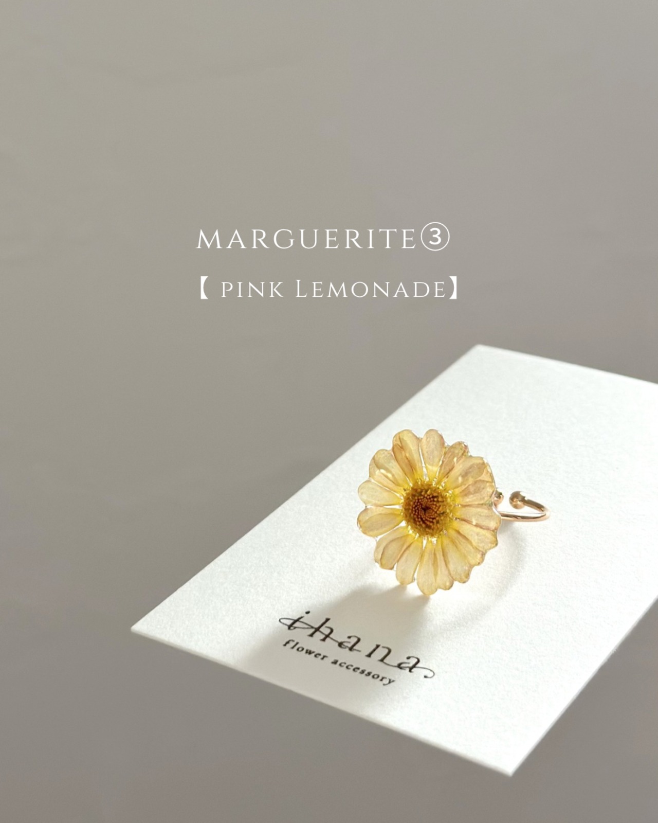 real flower ring「marguerite pink lemonade ③ 」【1点限定】