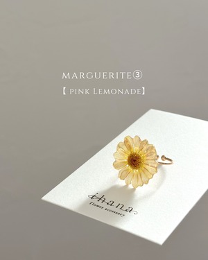 real flower ring「marguerite pink lemonade ③ 」【1点限定】