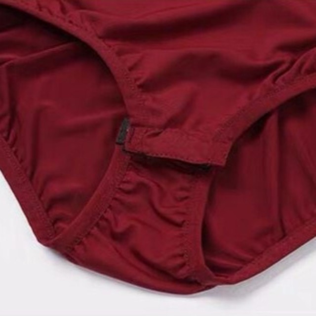 ドレープ ロングスリーブ シースルーフレア トップス （レオタードタイプ選択可） ds1444