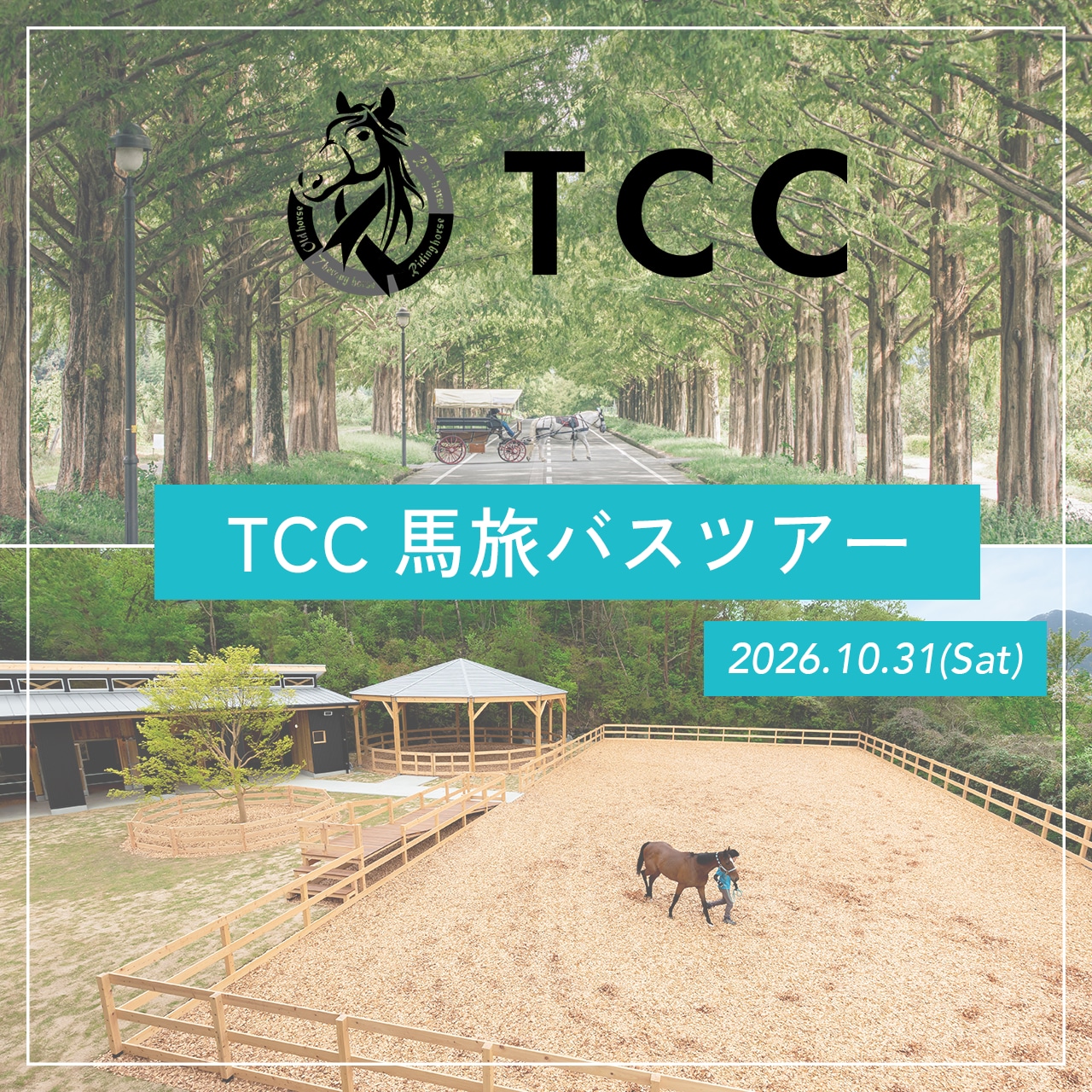 「TCC 馬旅バスツアー」参加費お支払い専用ページ