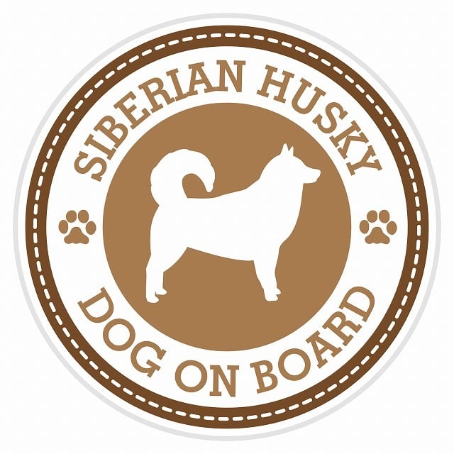 セーフティサイン ステッカー Dog on board SIBERIAN HUSKY シベリアン
