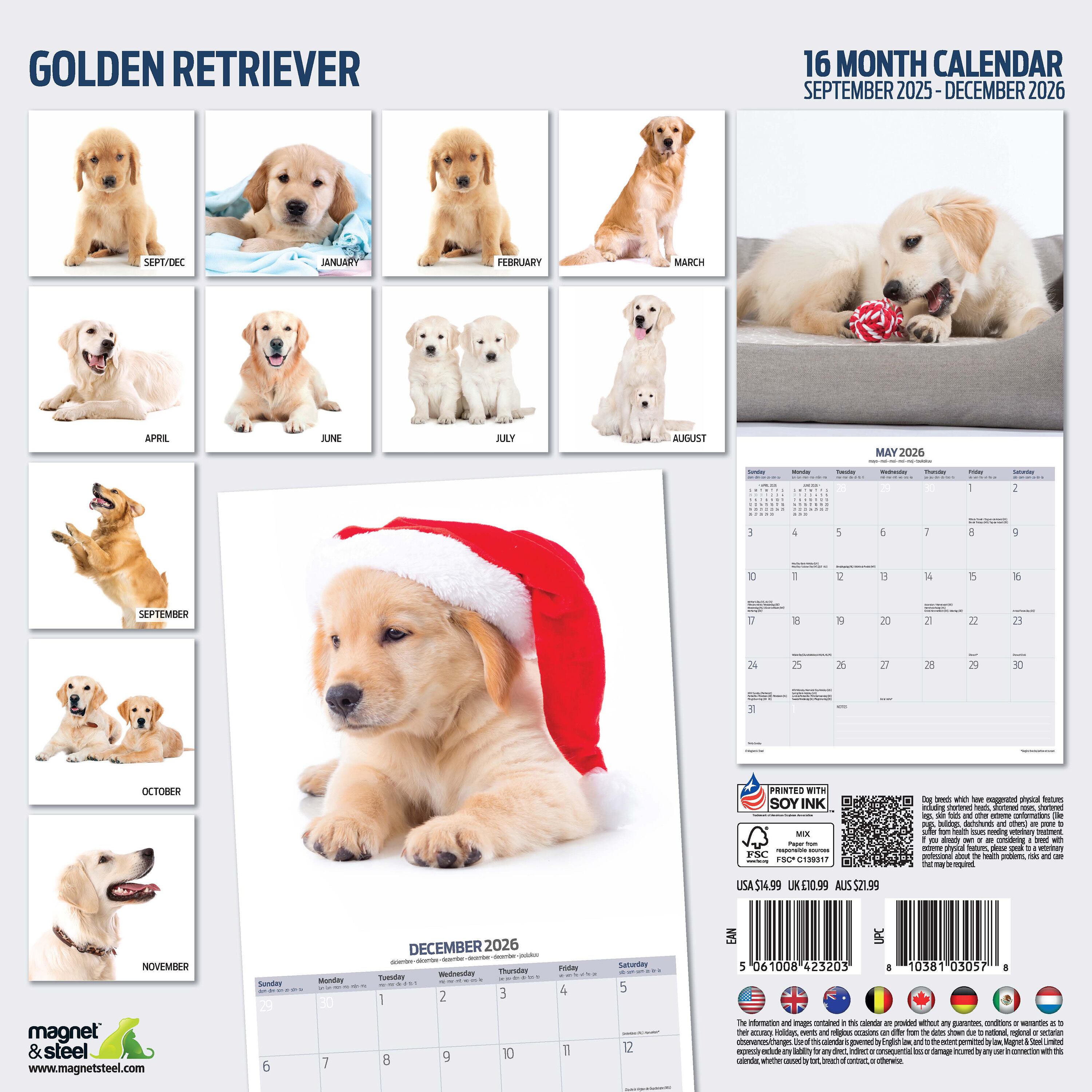 【2026年版】英国製犬種カレンダー【ゴールデン・レトリーバー Modern】 2026年版