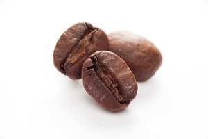 クラシック キリマンジャロ（タンザニア） 少量100g ハイロースト 浅煎り 自家焙煎 コーヒー豆 送料含む
