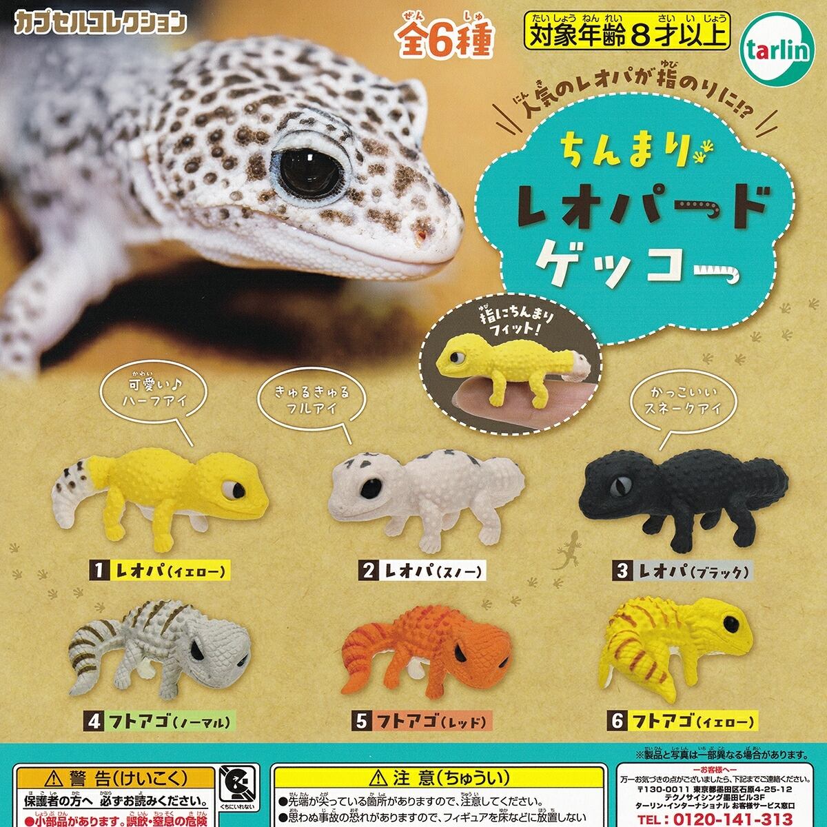 ぽっこし グッズコレクション ケンエレファント 【全5種フルコンプ