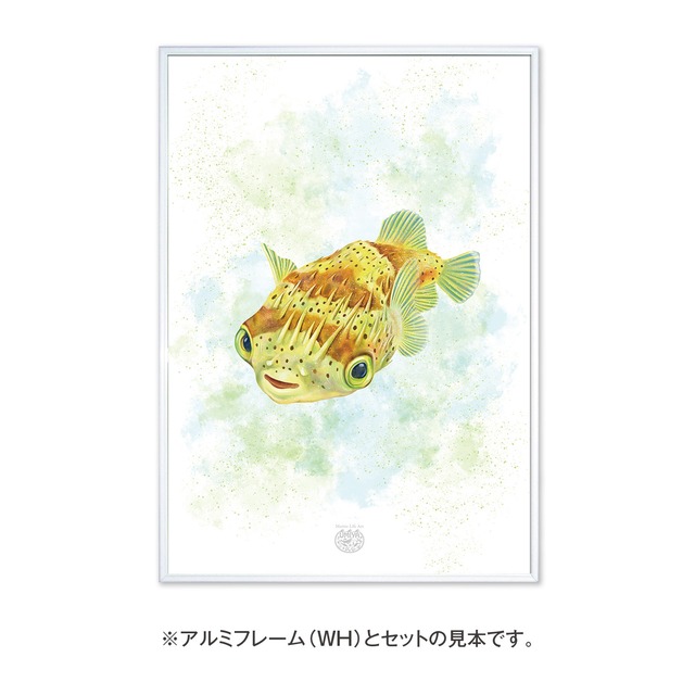 【海のいきものアートポスター／魚】ハリセンボン