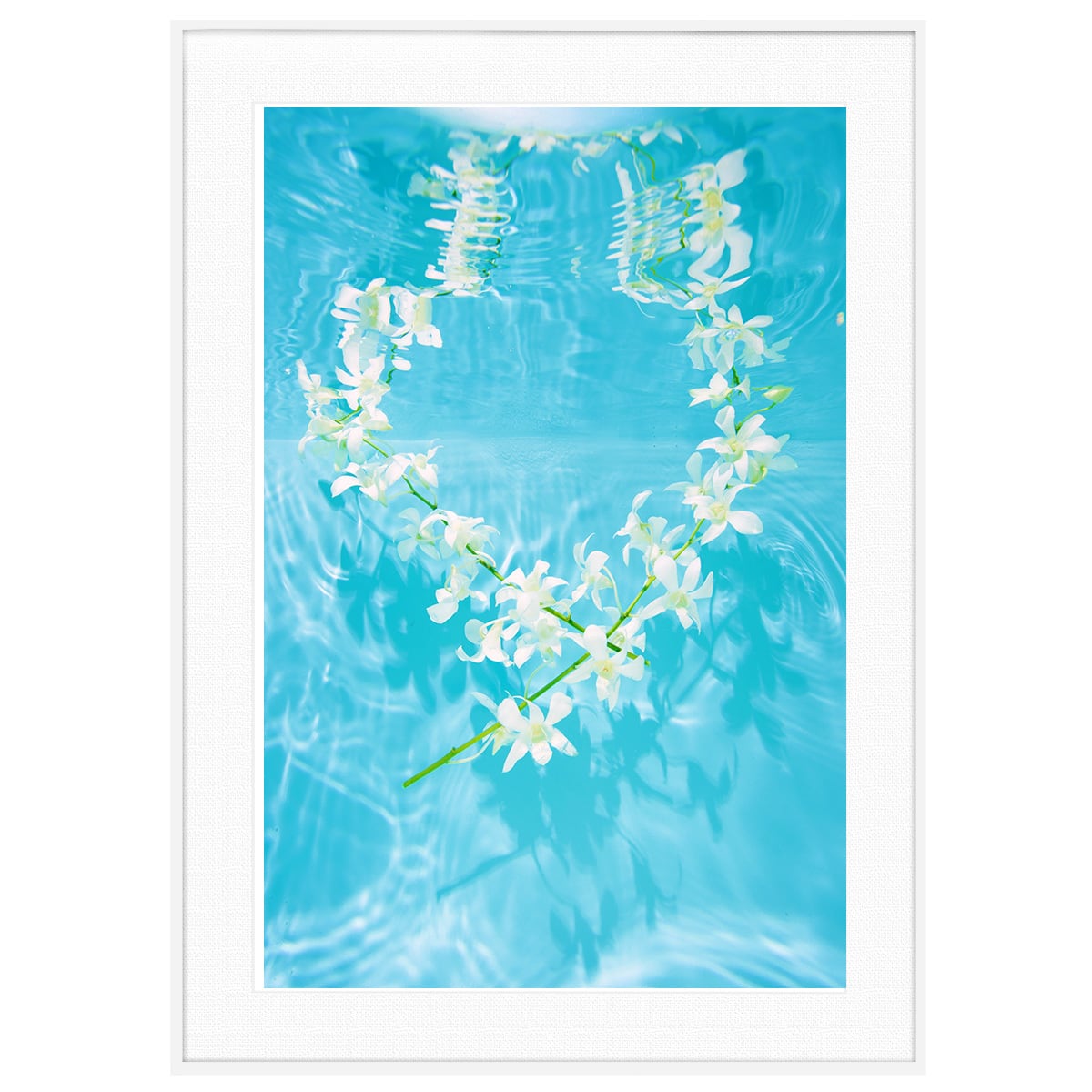 カラフルな写真 ブルー 水面に浮かぶ白い花 インテリアアートポスター額装 AS4685