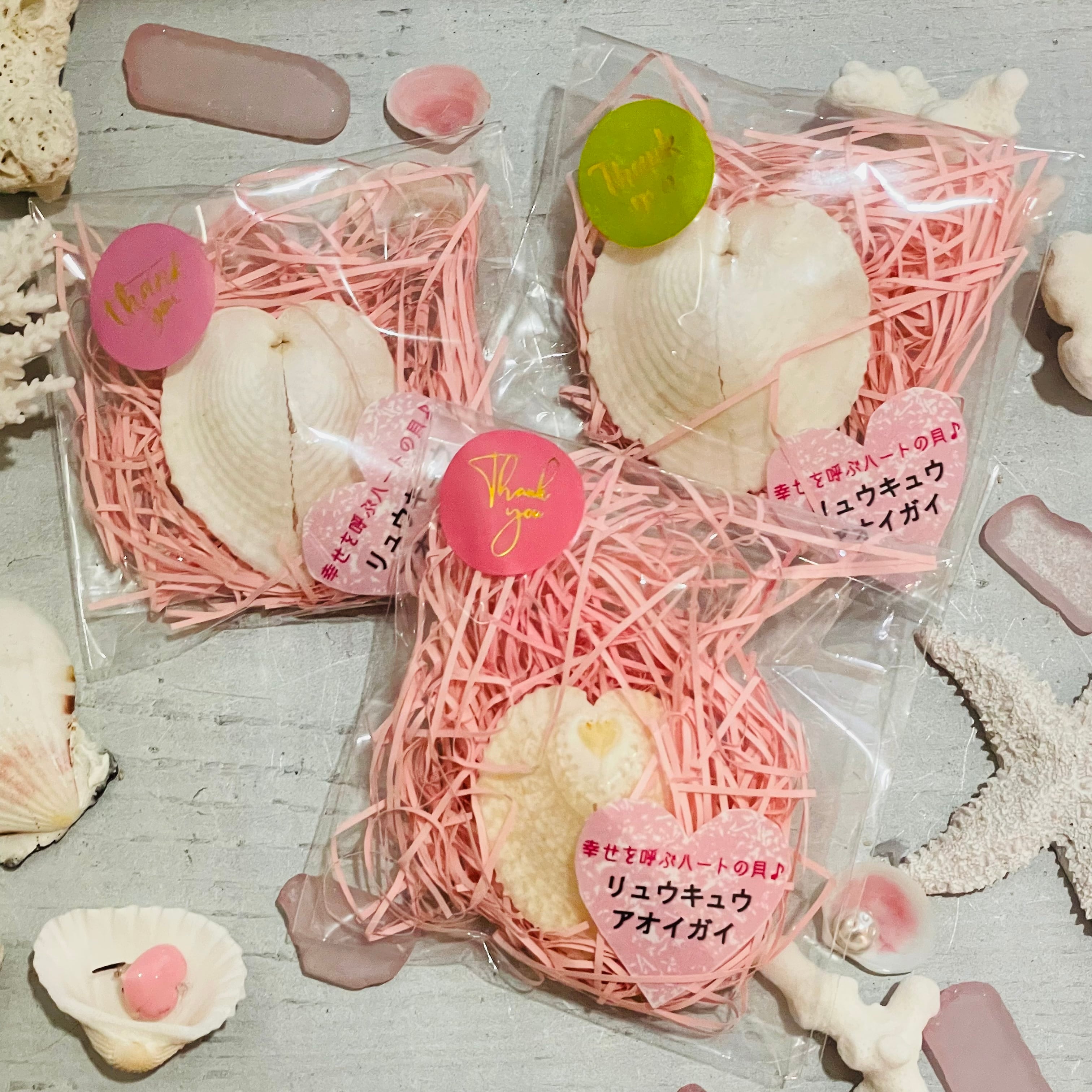 ハートの形の二枚貝】ハートガイ | Kaihoukan