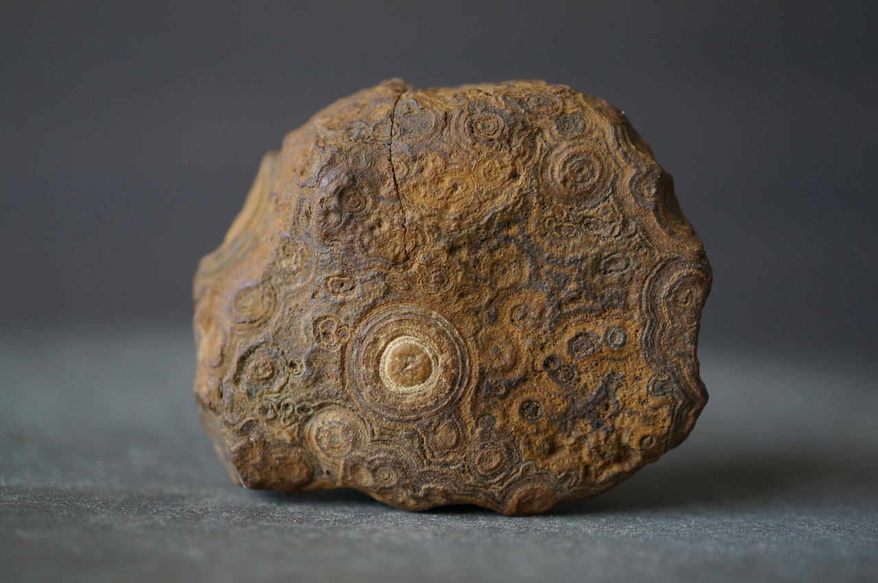 ゴビアゲート Gobi Agate 2384