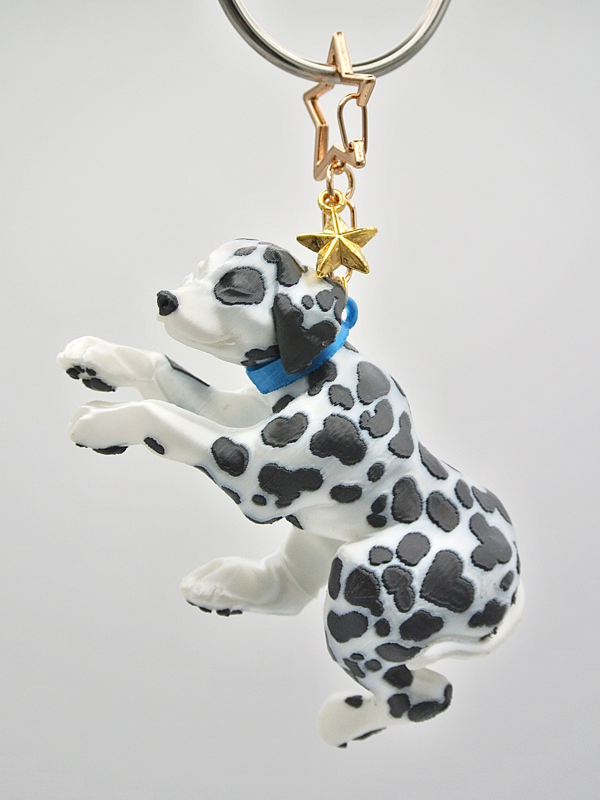 Dalmatian | Yetin.