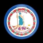 ゴーバッジ(ドーム)（CD0724 - FLAG VIRGINIA US STATE） - 画像1