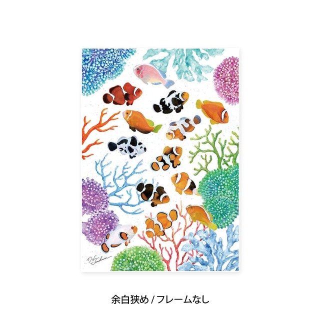 A1｜クマノミの舞踏会（フレームなし）