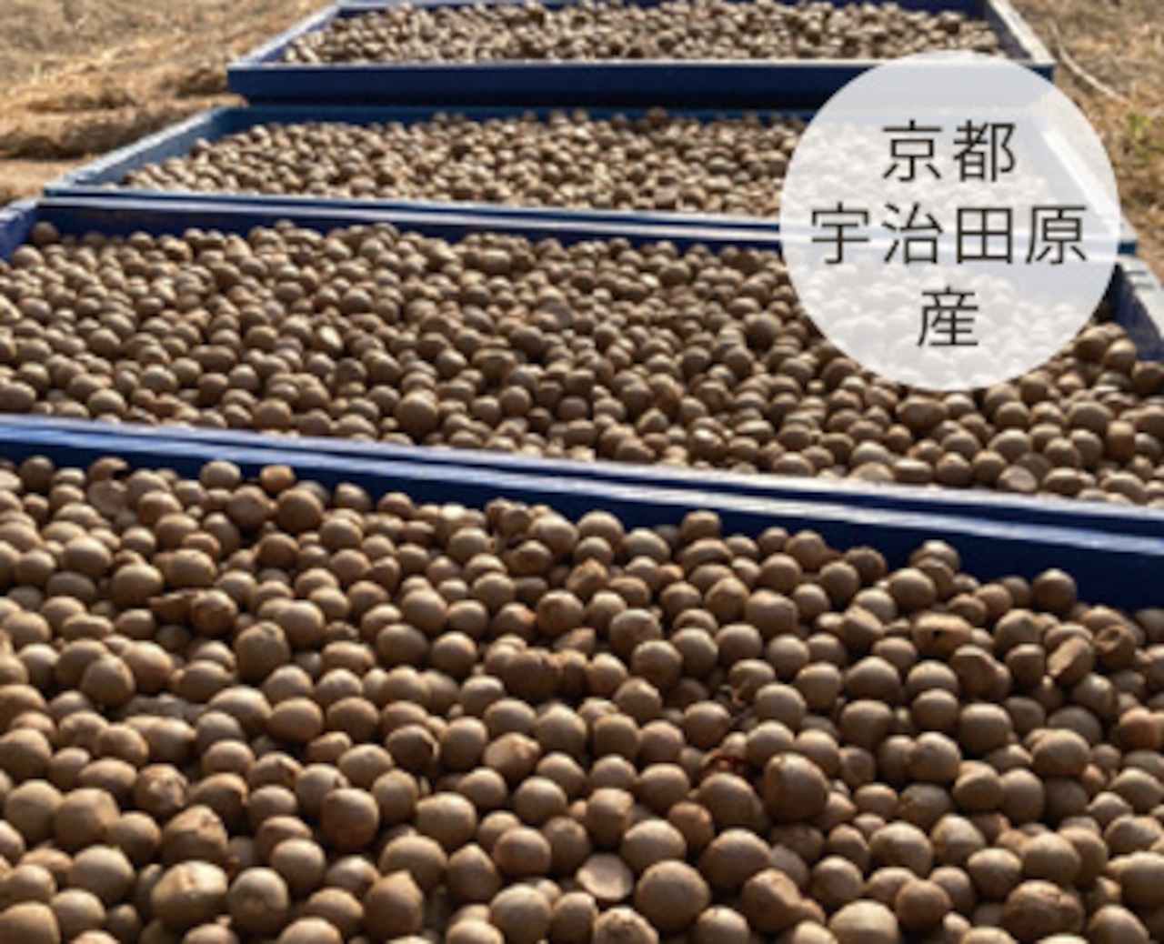 FACE & HAIR BALM （保湿バーム）37g　京都・宇治田原産 茶の実油