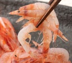 6枚目の画像のサムネイル