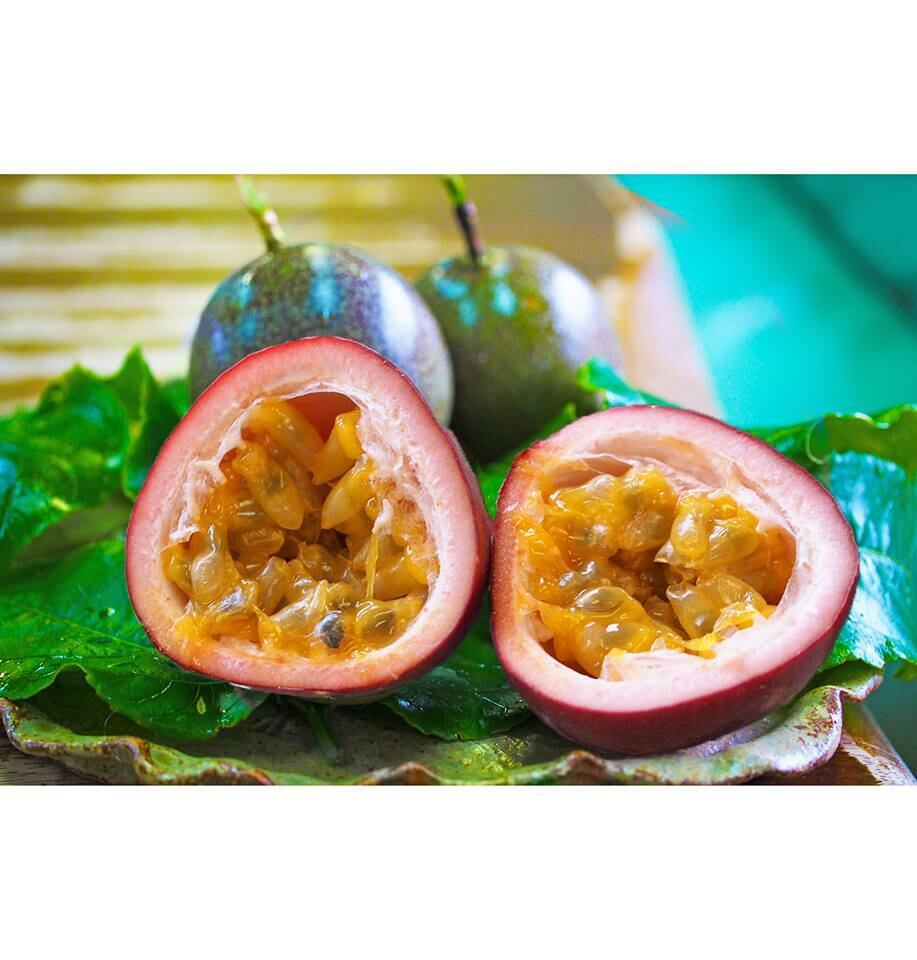 専用出品 YO0304様 パッションフルーツ 【公式通販】
