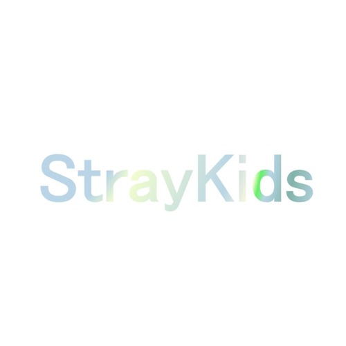 【即日発送】 Stray Kids ホログラムシール