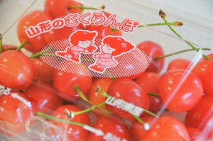 B-8 山形県産 紅秀峰 フードパック 170g×4バラ詰